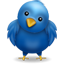 A cute blue bird emoji with big eyes.