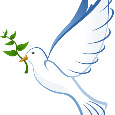 A white dove holding an olive branch in its beak.